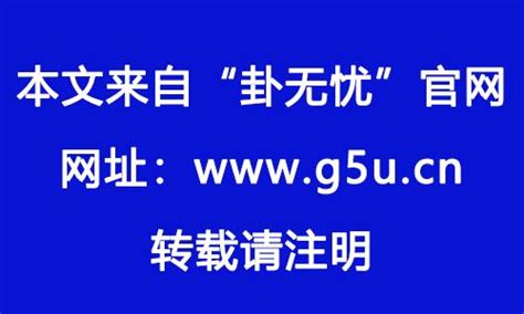 1982属相|1982年属什么生肖 1982年属什么的生肖